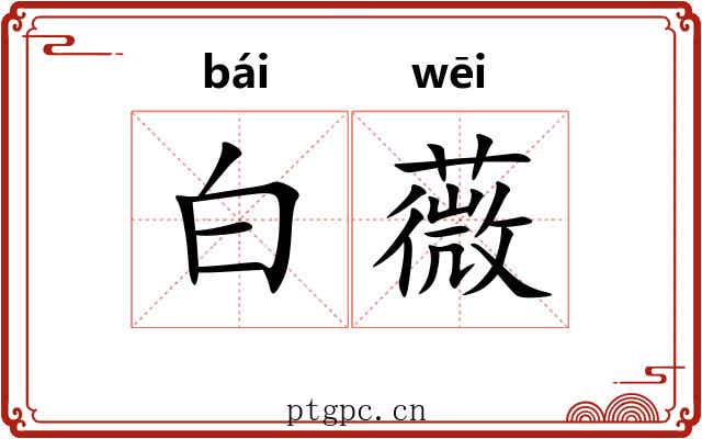 白薇