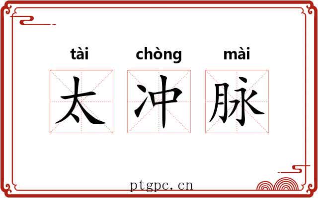 太冲脉 太冲脉