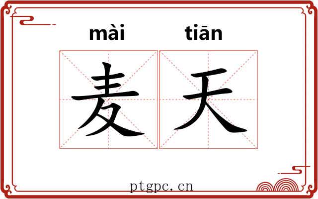 麦天