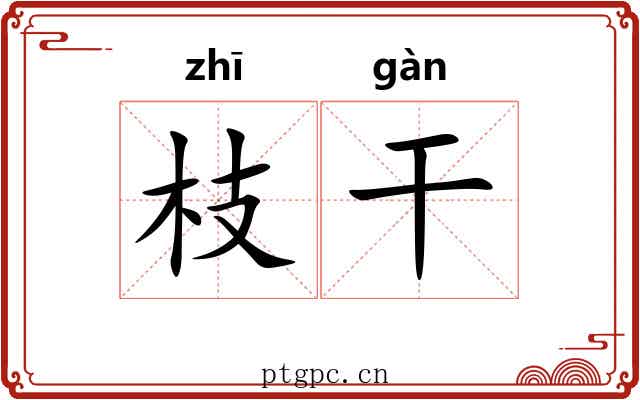 枝干