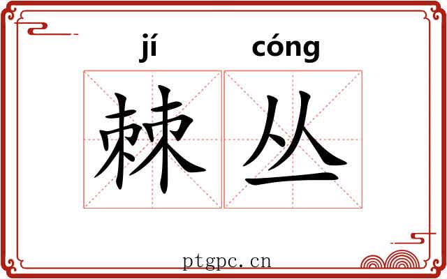 棘丛