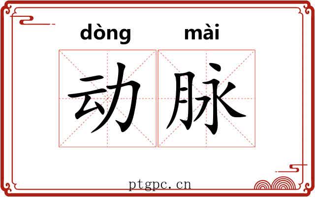 动脉 动脉