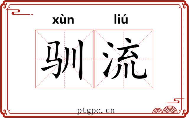 驯流