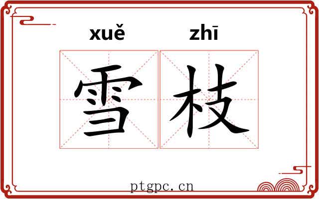 雪枝