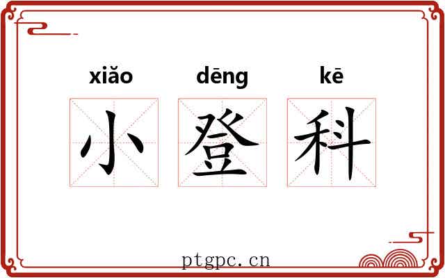 小登科