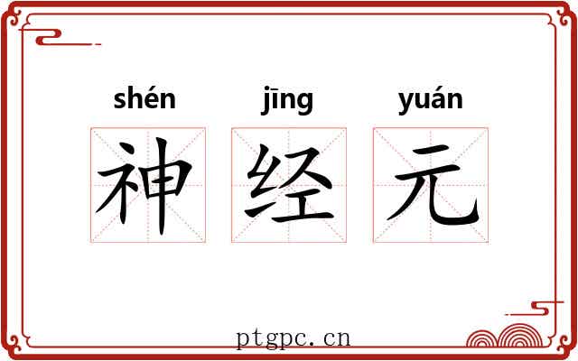 神经元