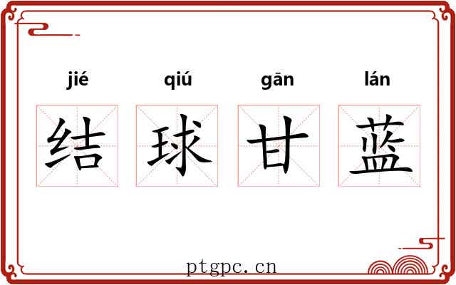 结球甘蓝 结球甘蓝