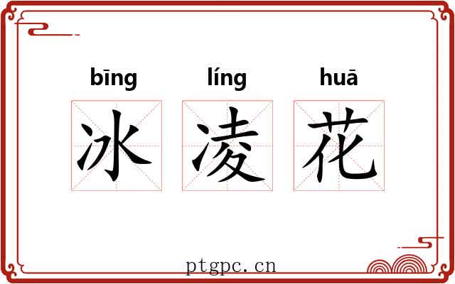冰凌花