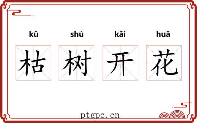 枯树开花 枯树开花