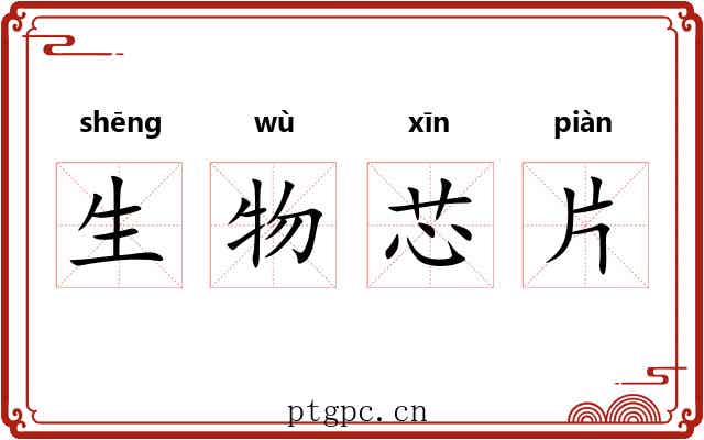 生物芯片 生物芯片