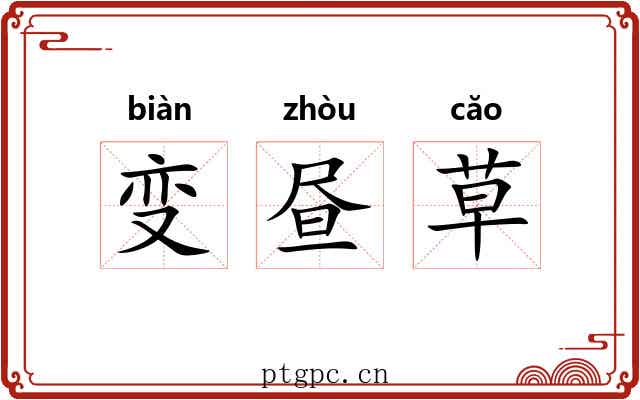 变昼草 变昼草