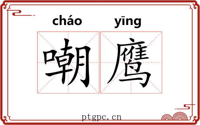 嘲鹰