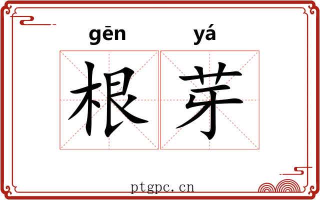 根芽 根芽