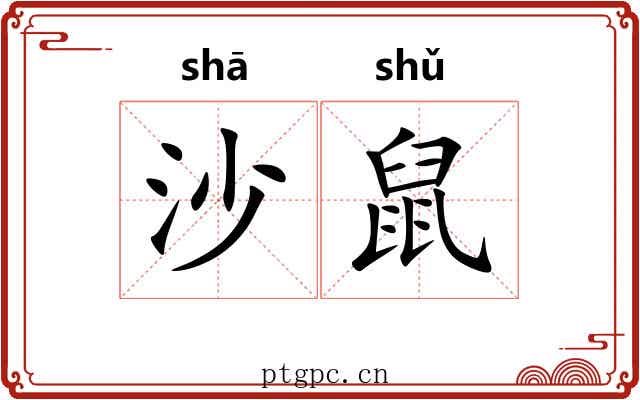 沙鼠