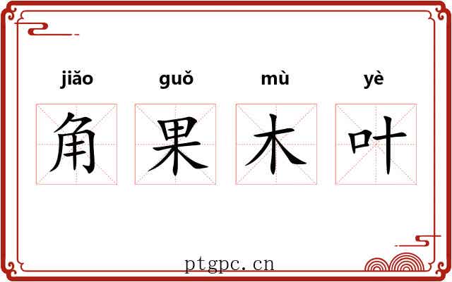角果木叶