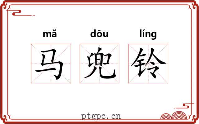 马兜铃