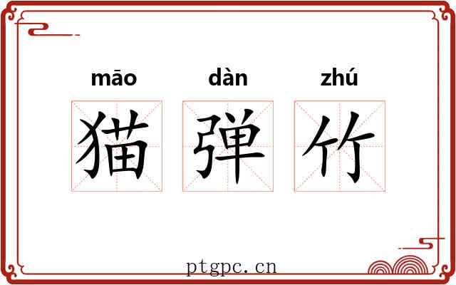 猫弹竹 猫弹竹