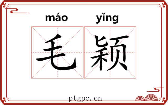 毛颖