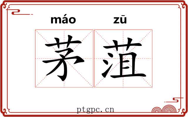 茅菹