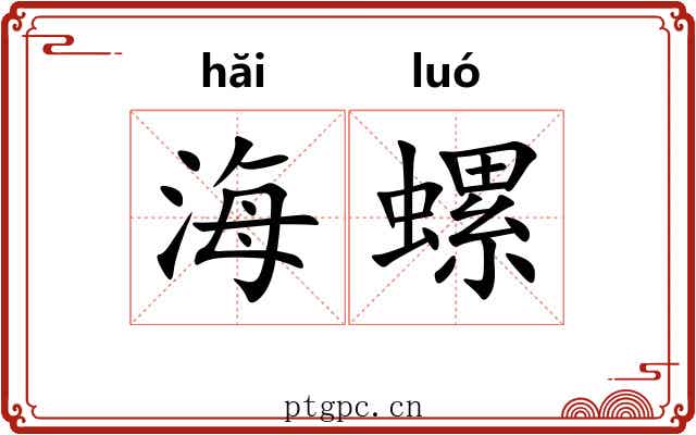 海螺 海螺