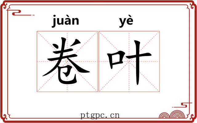 卷叶