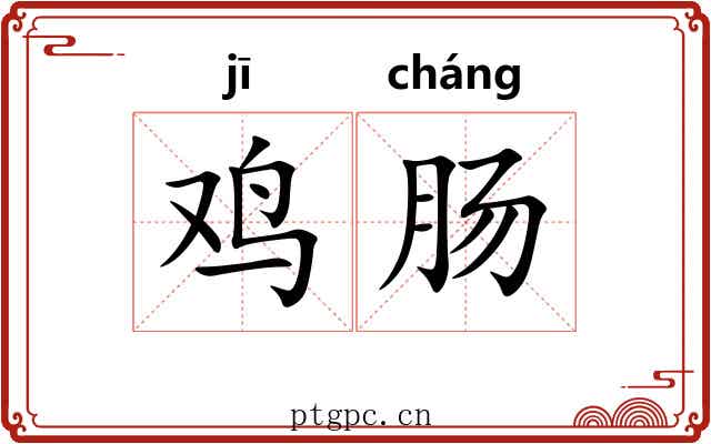 鸡肠