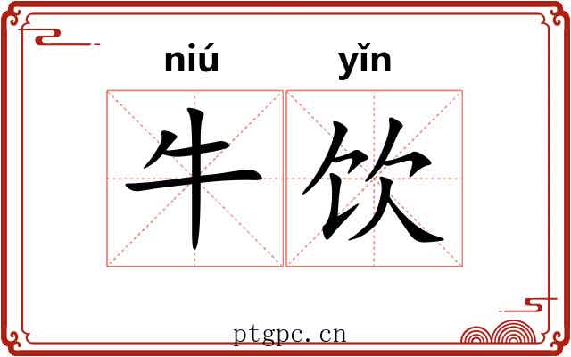 牛饮 牛饮