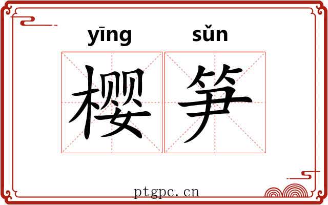 樱笋