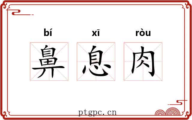 鼻息肉