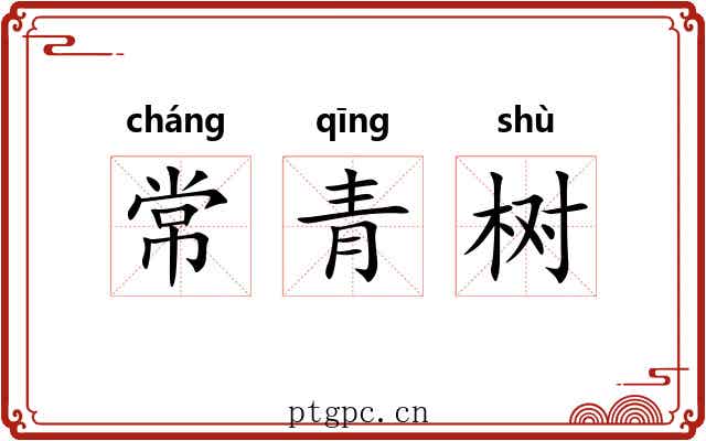 常青树