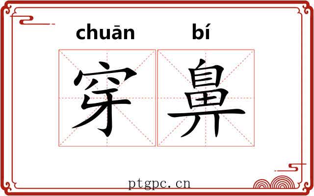 穿鼻 穿鼻