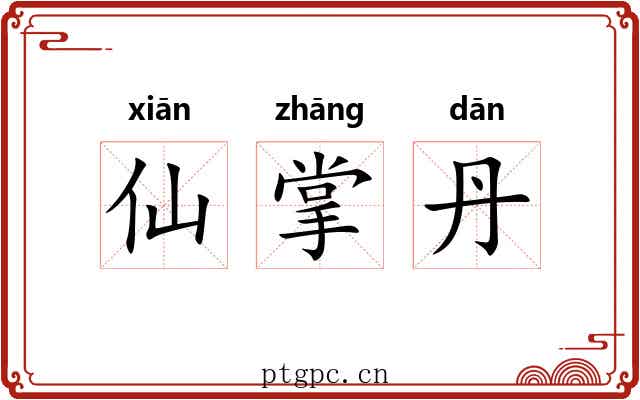 仙掌丹