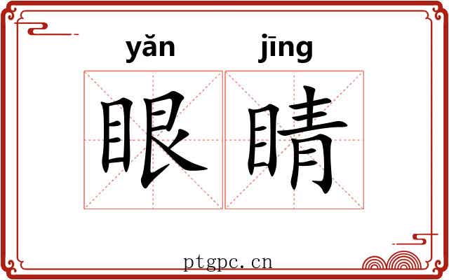 眼睛