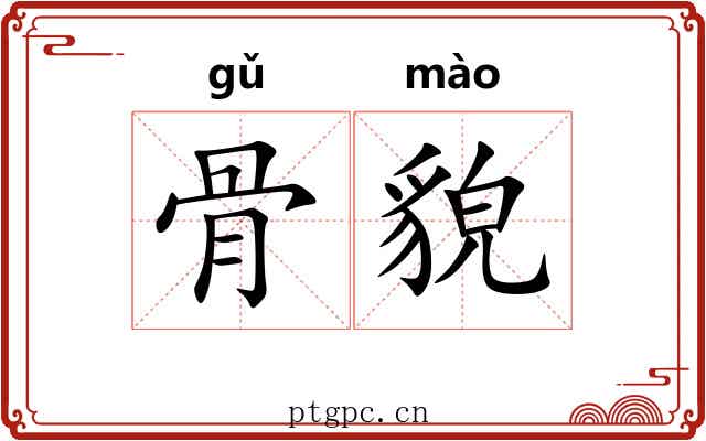 骨貌