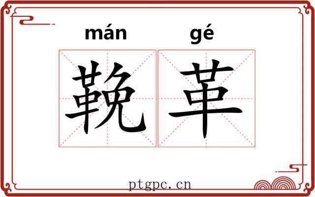 鞔革