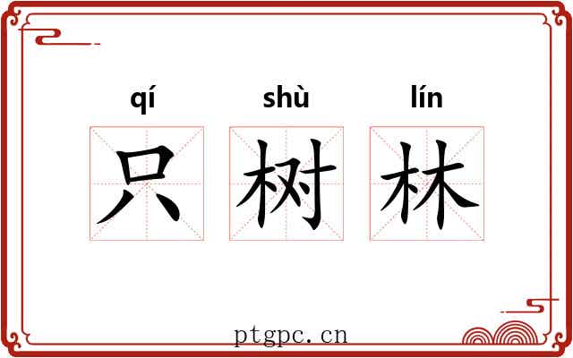 只树林 只树林