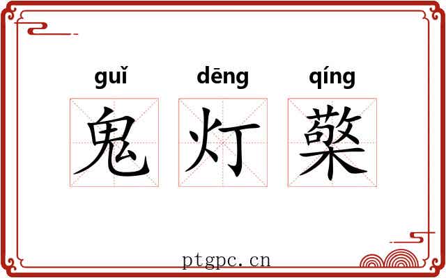 鬼灯檠
