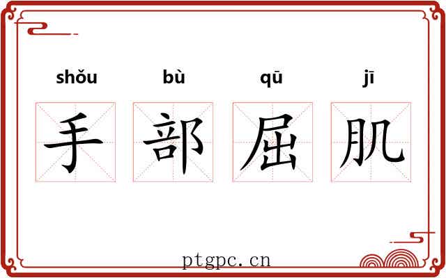 手部屈肌 手部屈肌