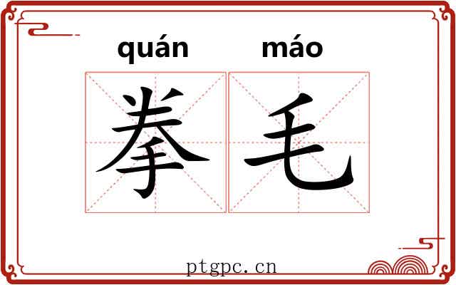 拳毛
