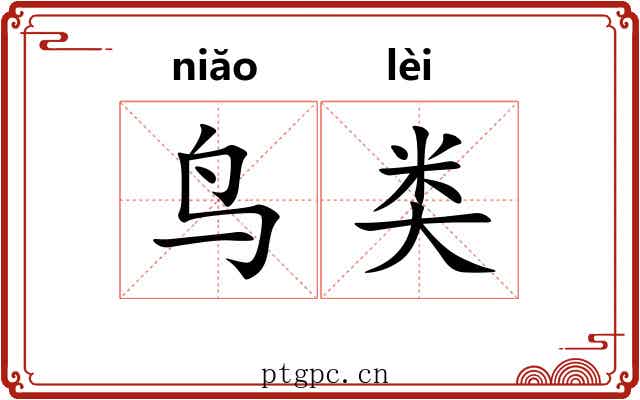 鸟类