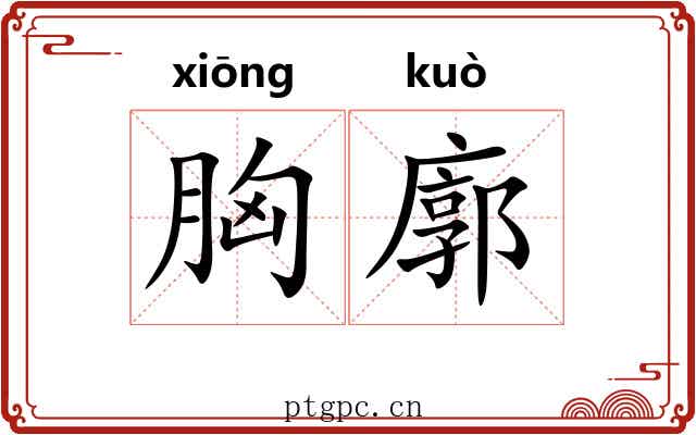 胸廓