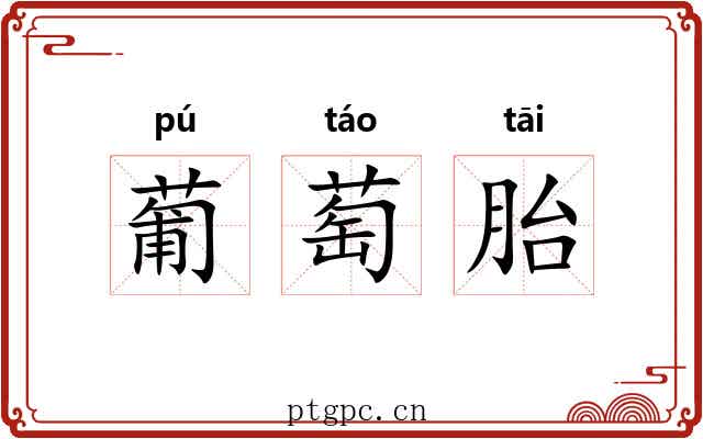 葡萄胎