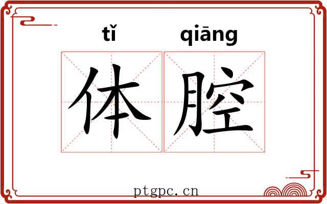 体腔 体腔