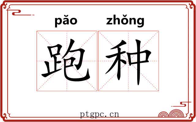 跑种