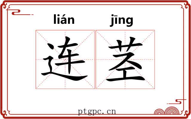 连茎 连茎