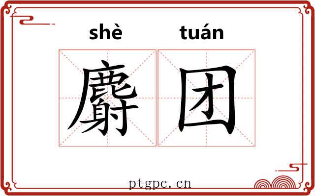 麝团