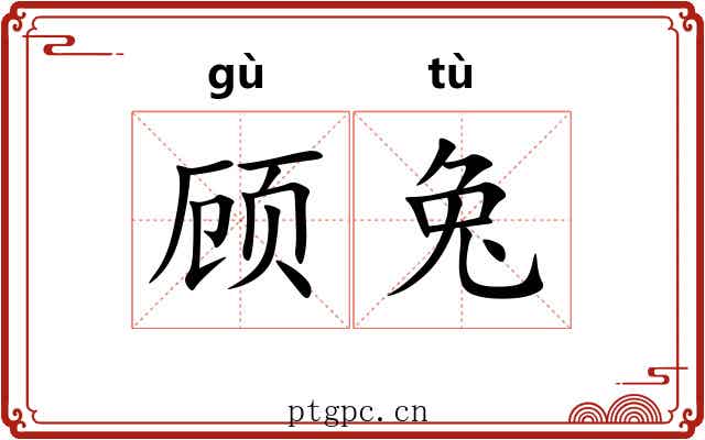 顾兔