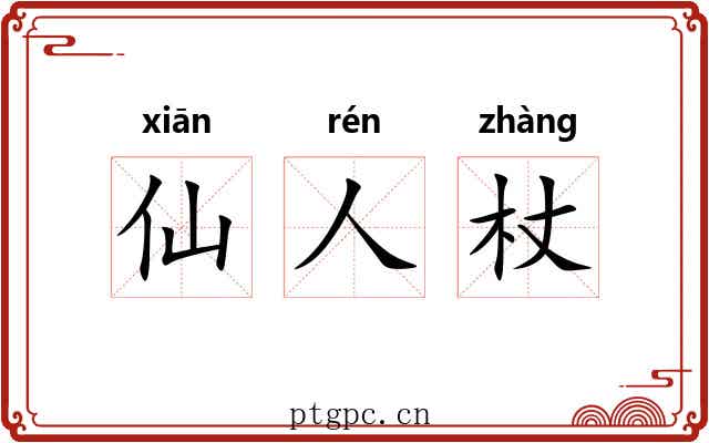仙人杖