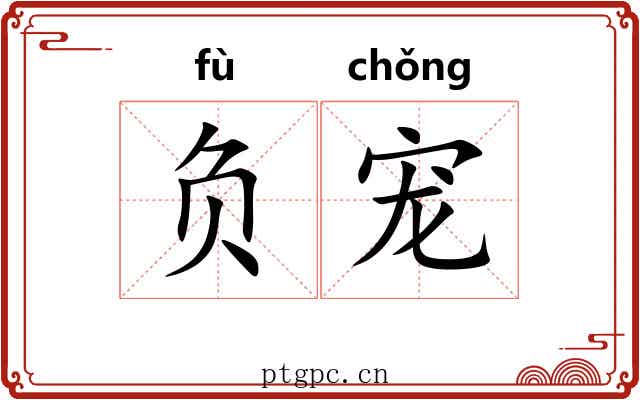 负宠