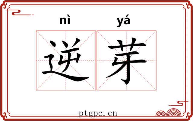 逆芽
